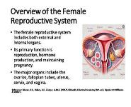 Female Reproductive Anatomy and Physiology: A Comprehensive Overview PowerPoint Presentation Notes