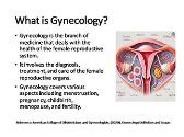 Introduction to Gynecological Infections: Types, Symptoms, Diagnosis, and Treatment