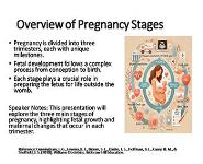 Obstetrics: Pregnancy Stages and Fetal Development PowerPoint Presentation Notes