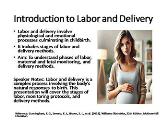 Labor and Delivery: Stages, Monitoring, and Care