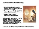 Breastfeeding and Lactation Support in Obstetrics