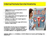 Sexual and Reproductive Health: Female Genital Anatomy and Health