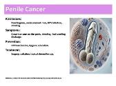 Male Reproductive Cancers