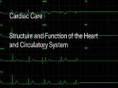 Cardiac Care Structure and Function of the Heart and Circulatory System
