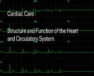 Cardiac Care Structure and Function of the Heart and Circulatory System PowerPoint Presentation