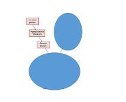 Diabetic Ketoacidosis PowerPoint Presentation Notes