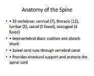 Anatomy & Physiology of the Spine and Related Neurological Diseases PowerPoint Presentation Notes