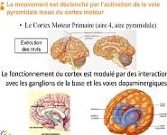 Old Age Parkinson Disease PowerPoint Presentation Notes