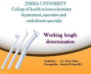 Dentistry Working Length Determination  PowerPoint Presentation