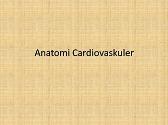 Anatomi Cardiovaskulerr