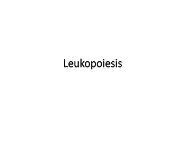 Leukopoeisis PowerPoint Presentation Notes