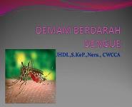 Demam Berdarah Dengue PowerPoint Presentation
