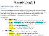 Microbiology 101 Notes (Spanish)