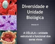 PPT Celula Medical Notes