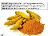 Turmeric