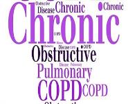 Chronic Obsrtuctive Pulmonary Disease PowerPoint Presentation