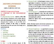 Integumentary System Medical Notes