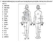 skeletal Medical Notes