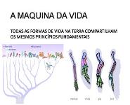 Relacao Vacinas e Cancer PowerPoint Presentation Notes