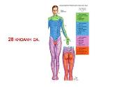 American Spinal Injury Association Asia