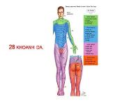 American Spinal Injury Association Asia PowerPoint Presentation Notes