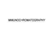 Immunochromatography PowerPoint Presentation