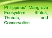 Ecology Mangrove Ecosystem