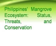 Ecology Mangrove Ecosystem PowerPoint Presentation