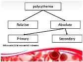 Lab interpretation Hemoglobin abnormalitiess