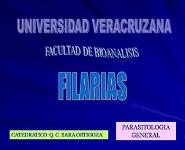 Filariasis PowerPoint Presentation Notes
