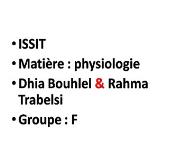 Globules Blancs PowerPoint Presentation