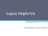 lupus neohritis