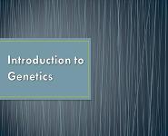 Introduction Of Genetics PowerPoint Presentation Notes