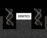 Genetics PowerPoint Presentation Notes