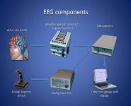 EEG equipment and signal acquisition PowerPoint Presentation Notes