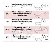 New Thiazol Hydrazono Chromen PowerPoint Presentation Notes