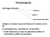 exposicion james reumatologia