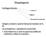 exposicion james reumatologia PowerPoint Presentation Notes