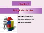 Biological molecules