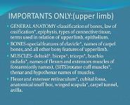 Anatomy PowerPoint Presentation Notes