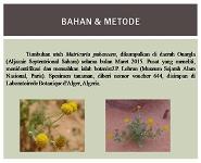 Tugas Fitokimia PowerPoint Presentation