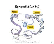Epigenetics and Disease PowerPoint Presentation