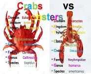 Arthropods PowerPoint Presentation