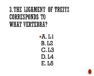 Anatomy Quizbee PowerPoint Presentation