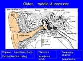 Hearing and Deafness - Anatomy and physiology