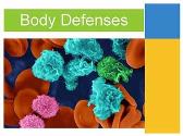Immune System - Guarding against disease