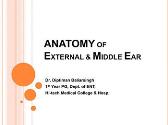Anatomy of External and Middle Ear