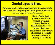 Healthcare Careers - Therapeutic Services Dentistry PowerPoint Presentation