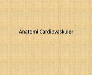 Anatomi Cardiovaskulerr PowerPoint Presentation